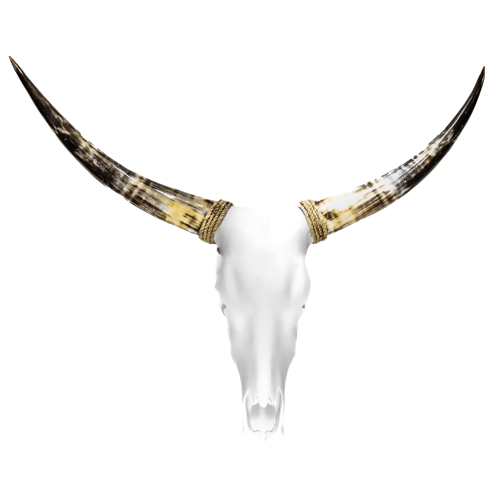 26DB6CC1-3AC1-4BA8-BAE5-6F6D0FED1257