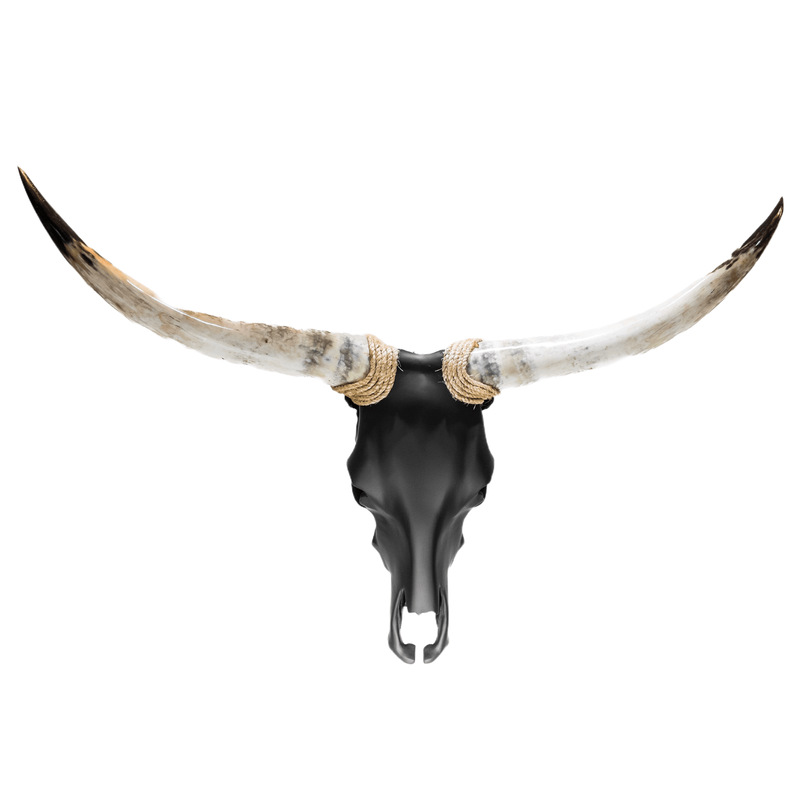 32EF6C93-59AA-479E-BB5B-7FC9E41AEE1E