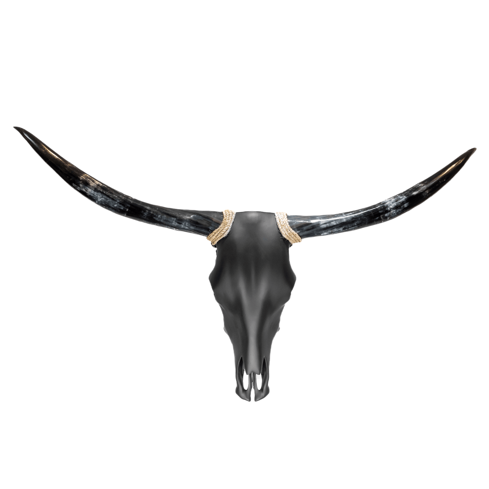 EBDB67AC-FD95-4100-A6DE-BD734D6FD3F3