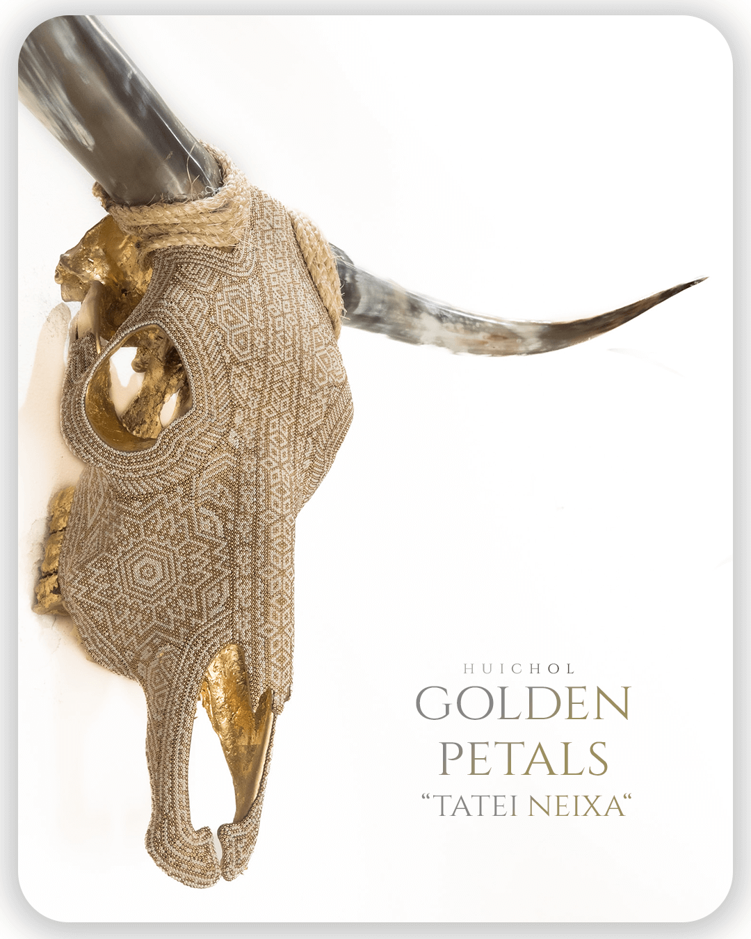 Mesa de trabajo 1 copia