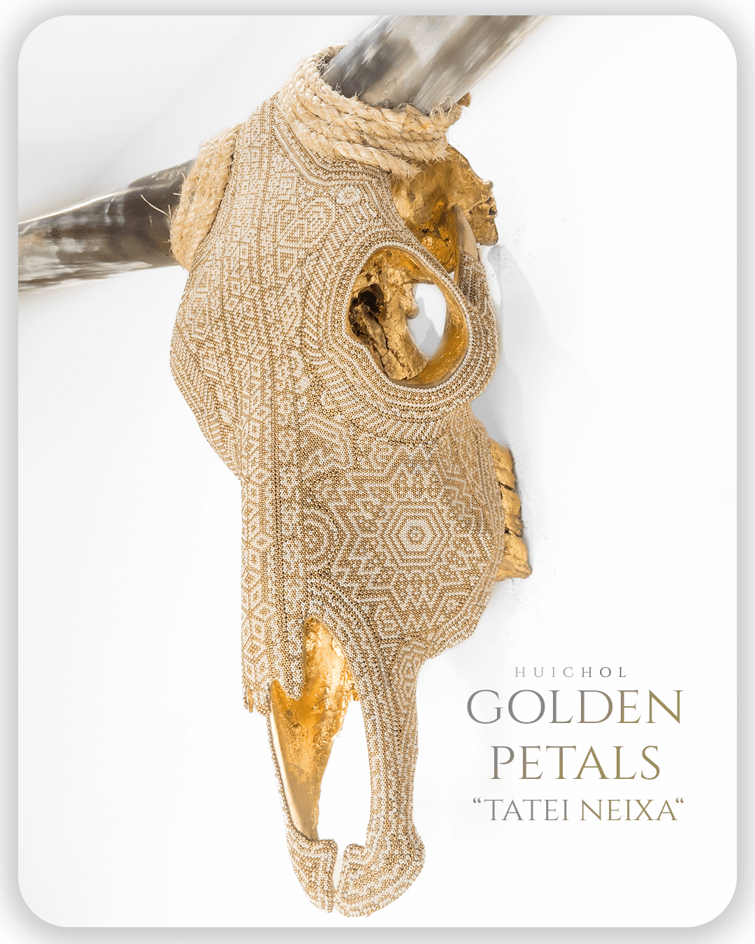 Mesa de trabajo 1 copia 2