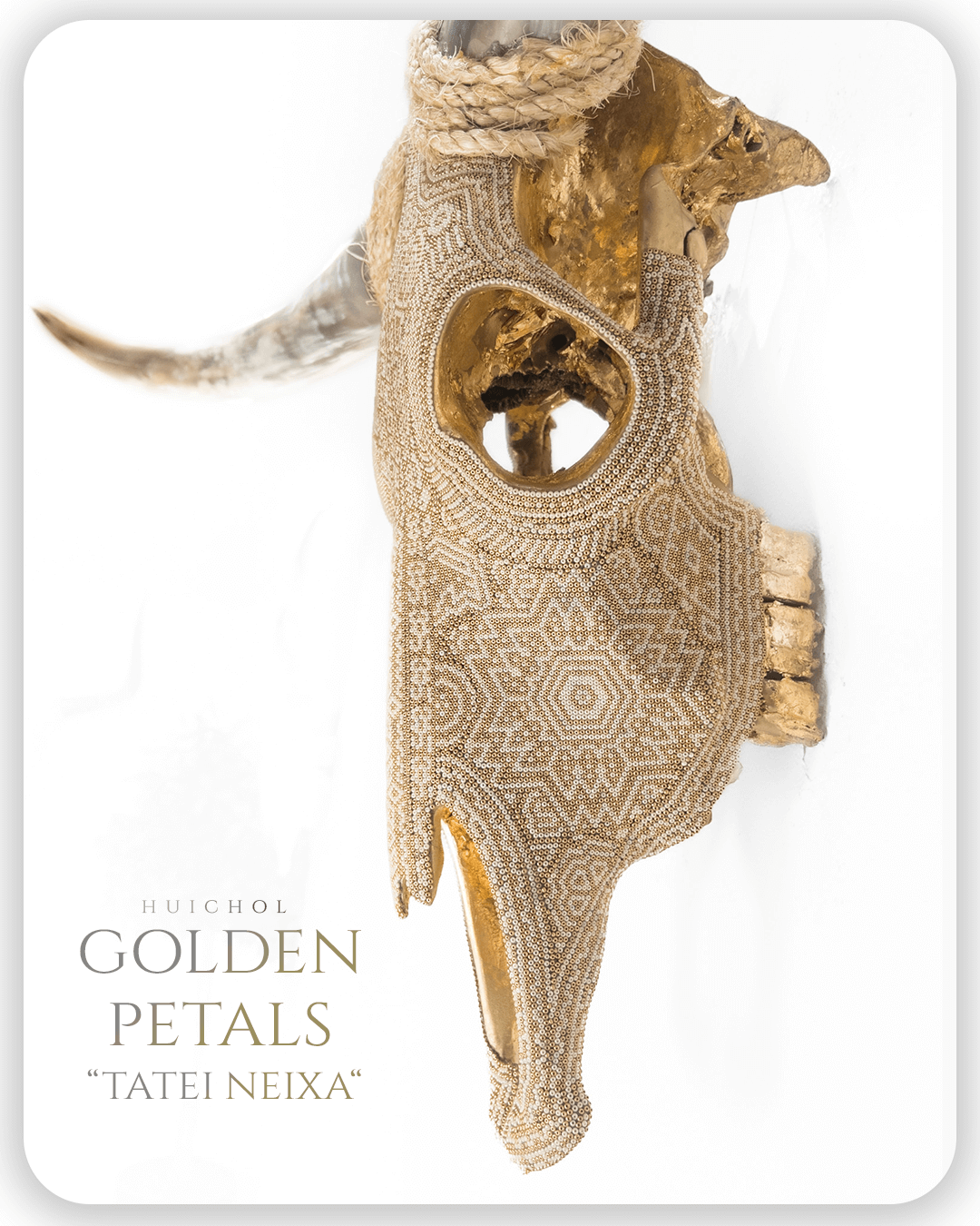 Mesa de trabajo 1 copia 4