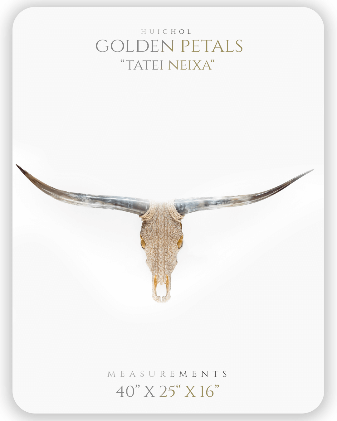 Mesa de trabajo 1 copia 5