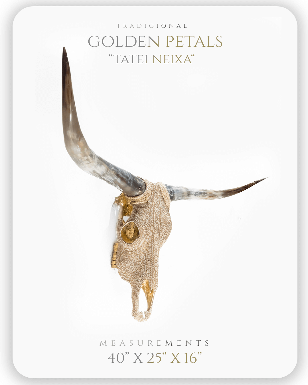 Mesa de trabajo 1 copia 7