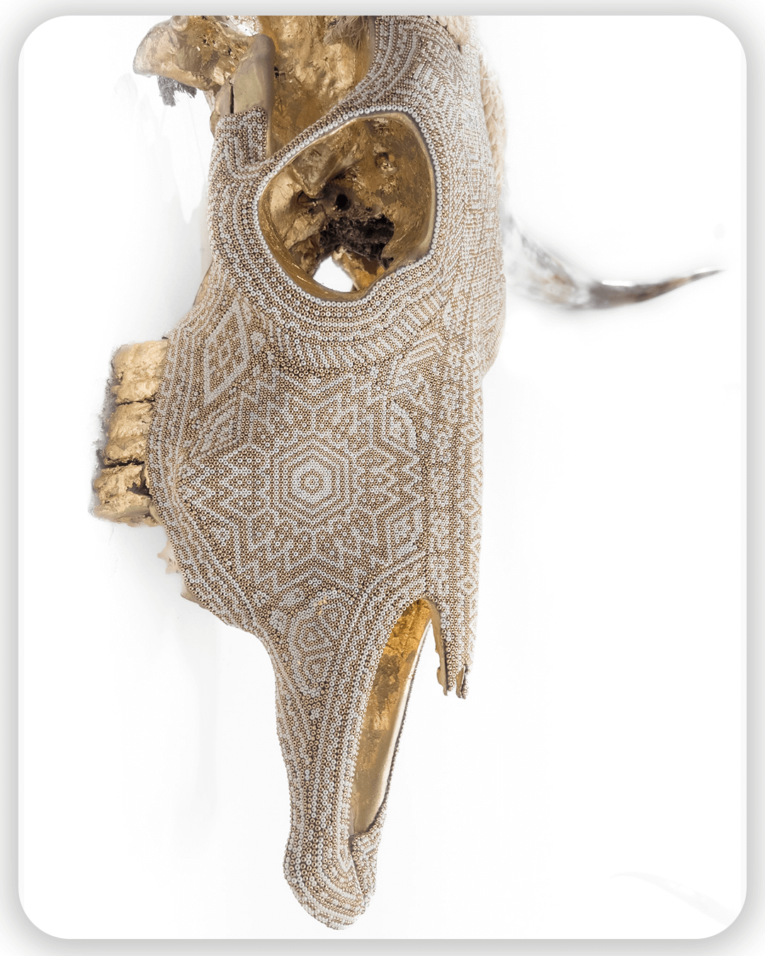 Mesa de trabajo 1 copia 9